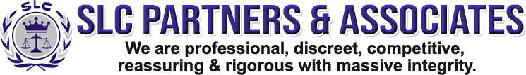 SLC Partners & Associates logo