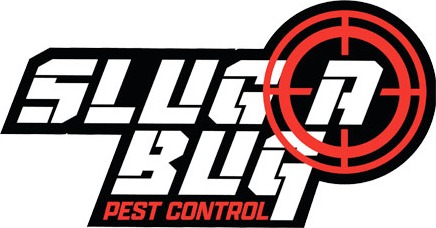 Slug A Bug Pest Control Brisbane