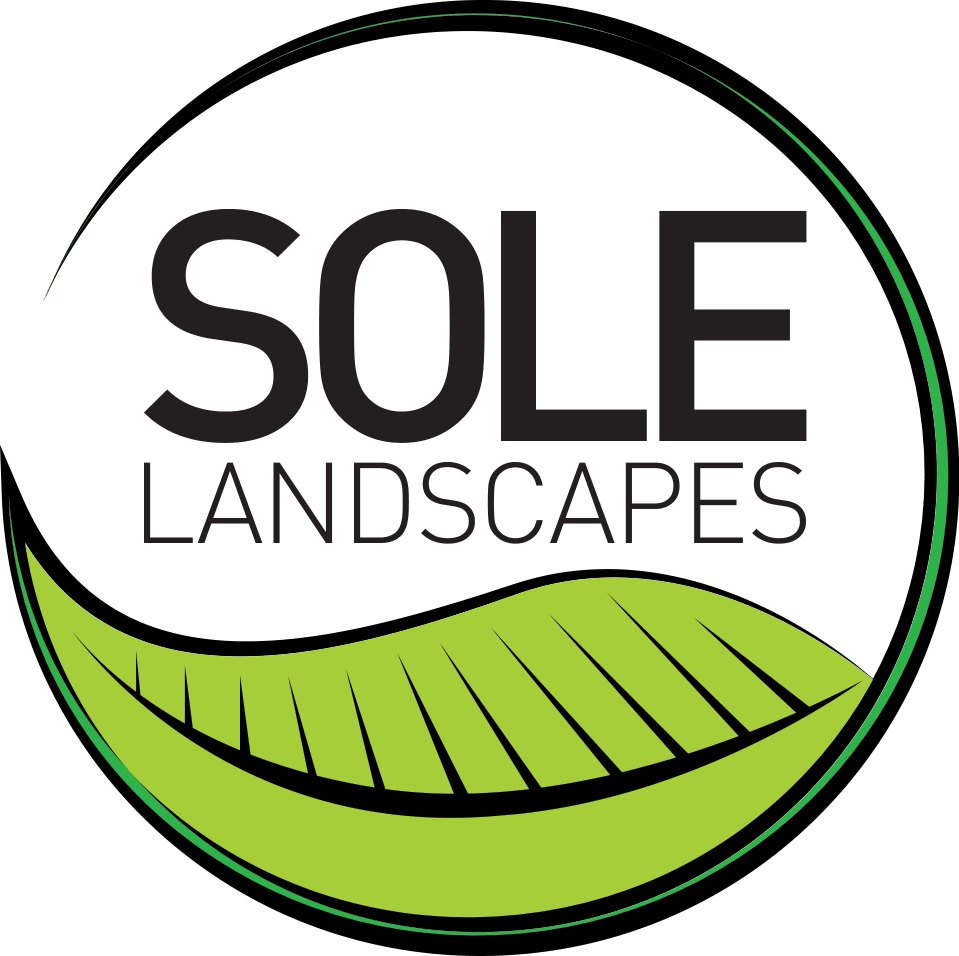Sole Landscapes