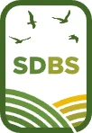 South Downs Building Surveys Ltd