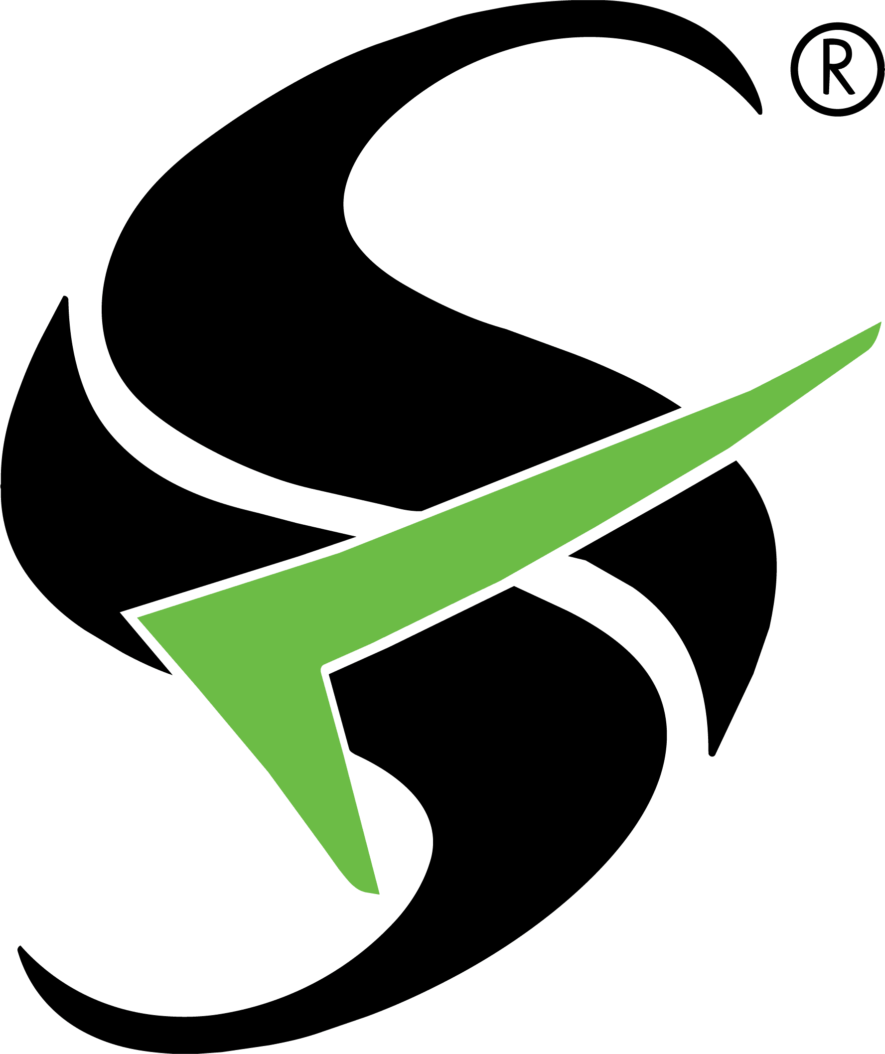 SS Auditors & Tax Consultants