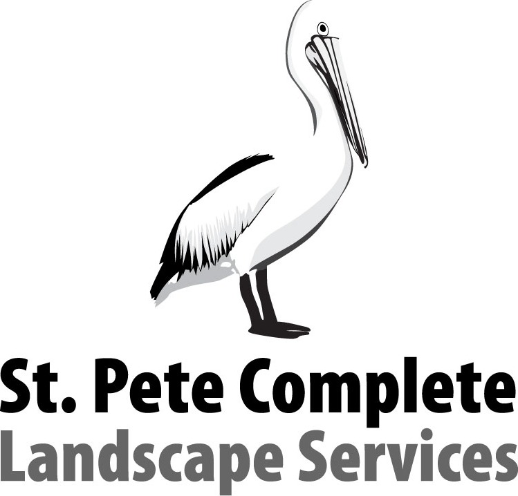 St Pete Complete Landscape