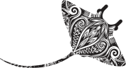 Stingray Events