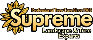 Supreme Tree Experts