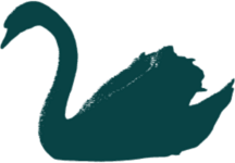 Swan & Cemetery