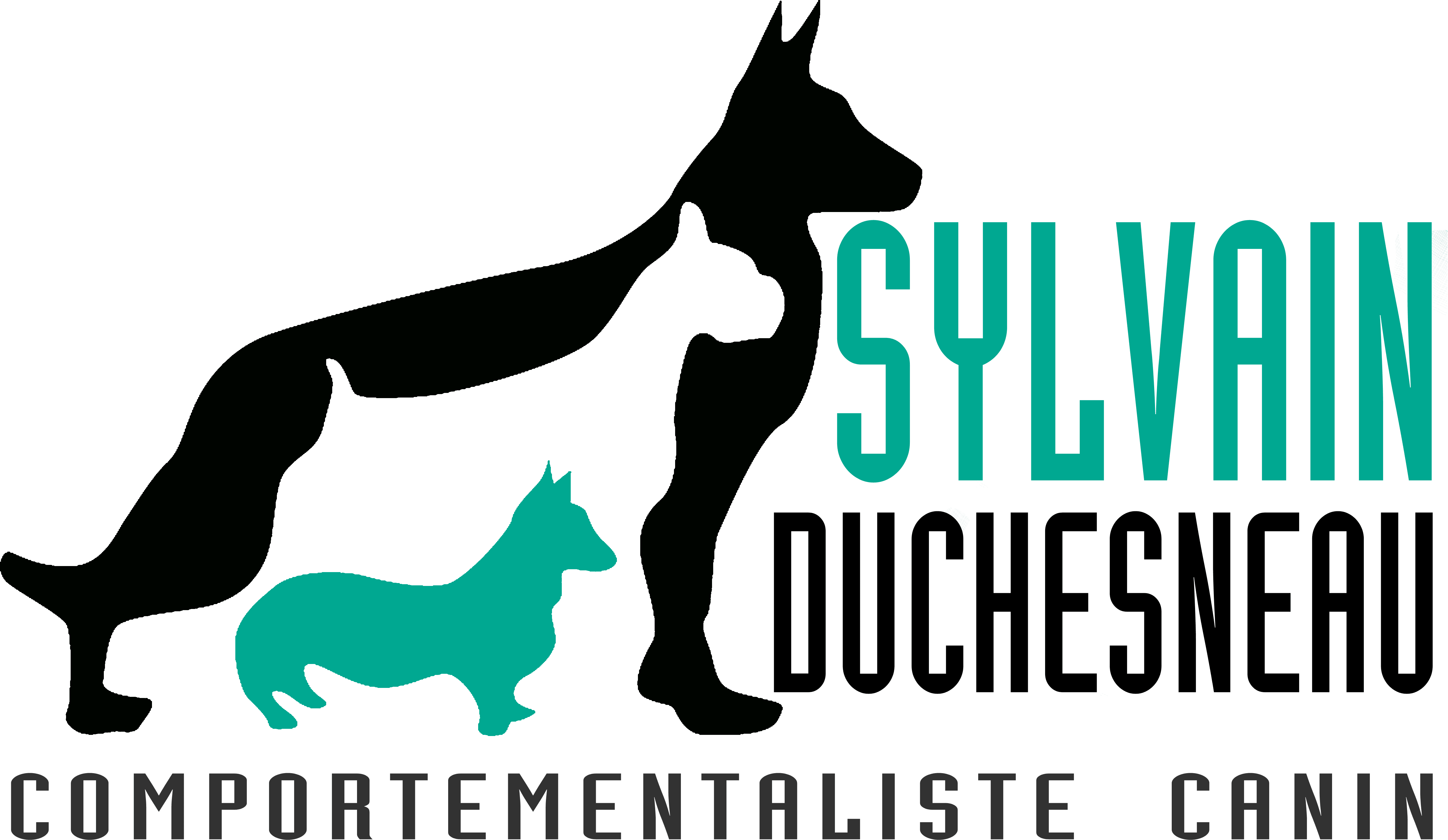 Sylvain Duchesneau-Éducateur Canin Comportementaliste logo