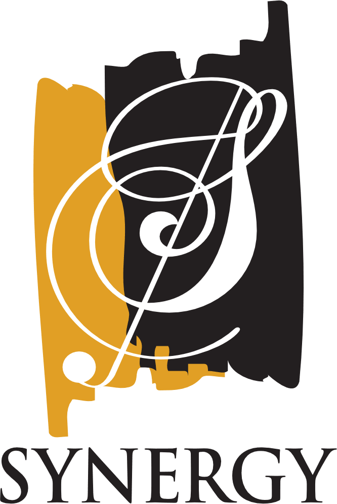 Synergy Music Academy