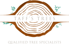 Taff’s Trees