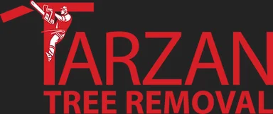 Tarzan Tree Removal