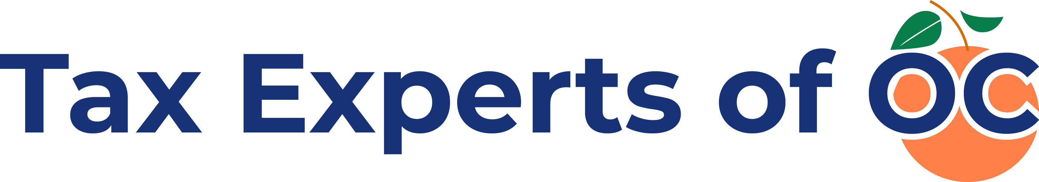 Tax Experts of OC logo