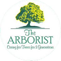 The Arborist