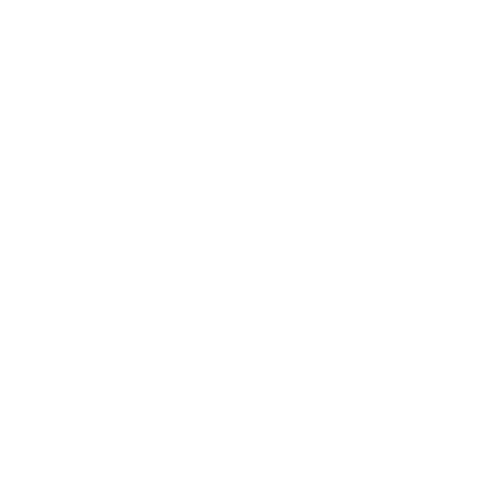 The Complete Health Chiropractic Clinic logo