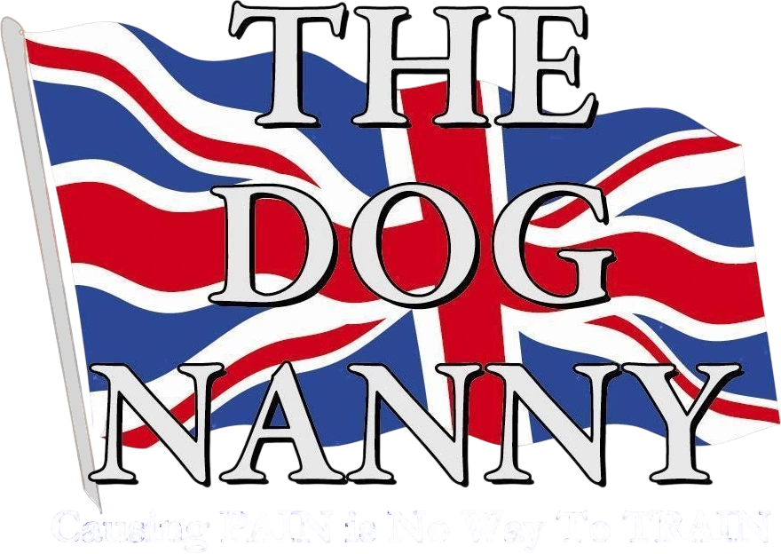 The Dog Nanny Canine Training Academy