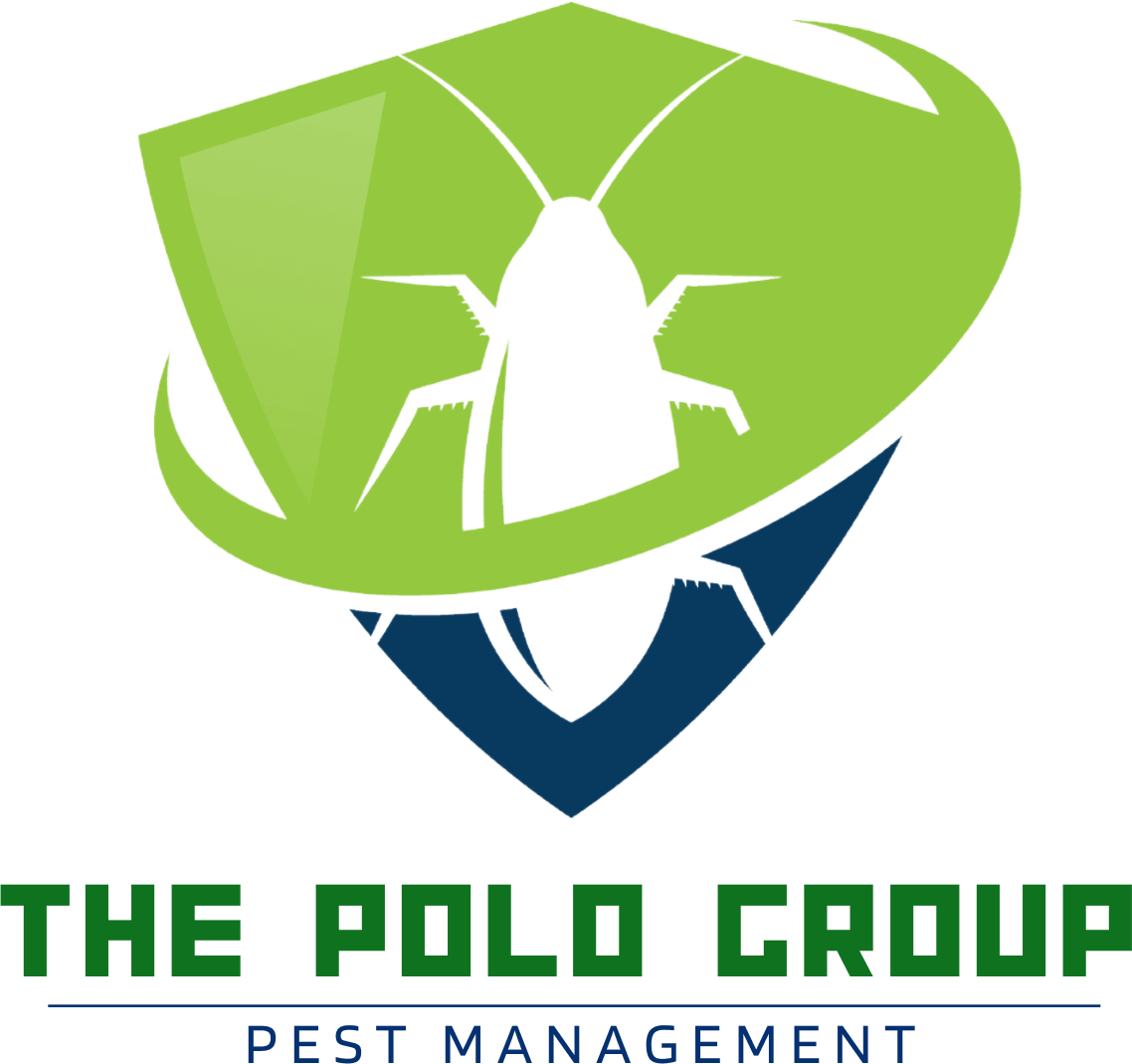 The Polo Group