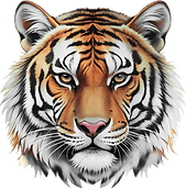Tiger Plumbing