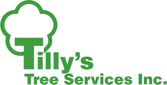 Tilly's Tree Services Inc.