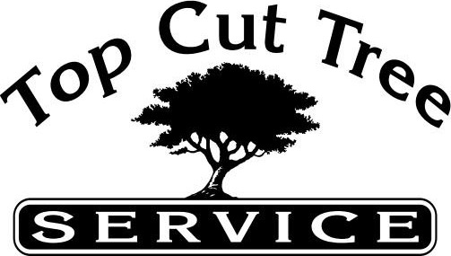 Top Cut Tree Service
