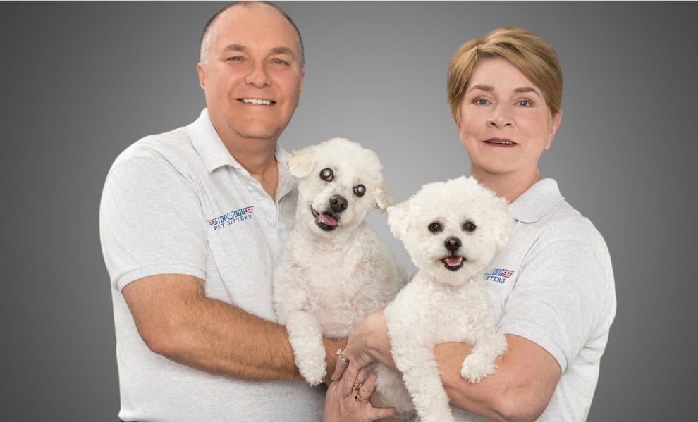 Top Dog Pet Sitters