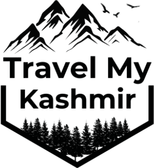 Travel My Kashmir logo