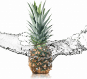 Tropic Spirit Catering logo