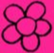 Tufty's Flowers & Cards logo