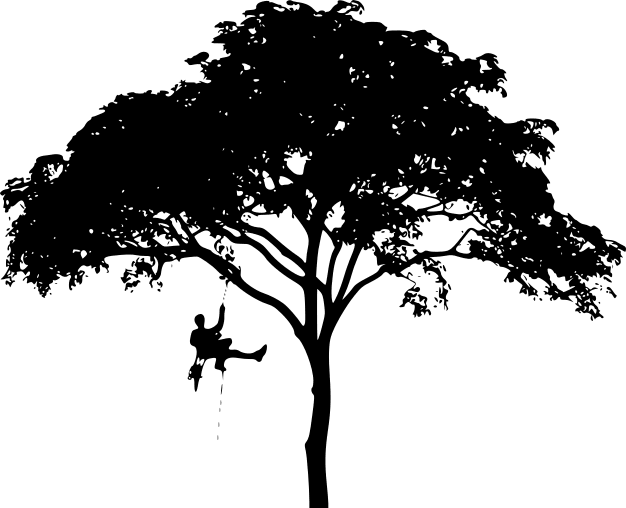 Tyler's Tree Services logo