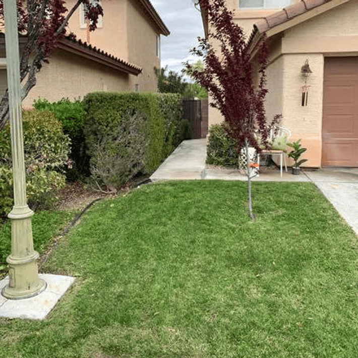 Ultimate Lawn Maintenance
