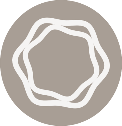 Uncommon Camellia