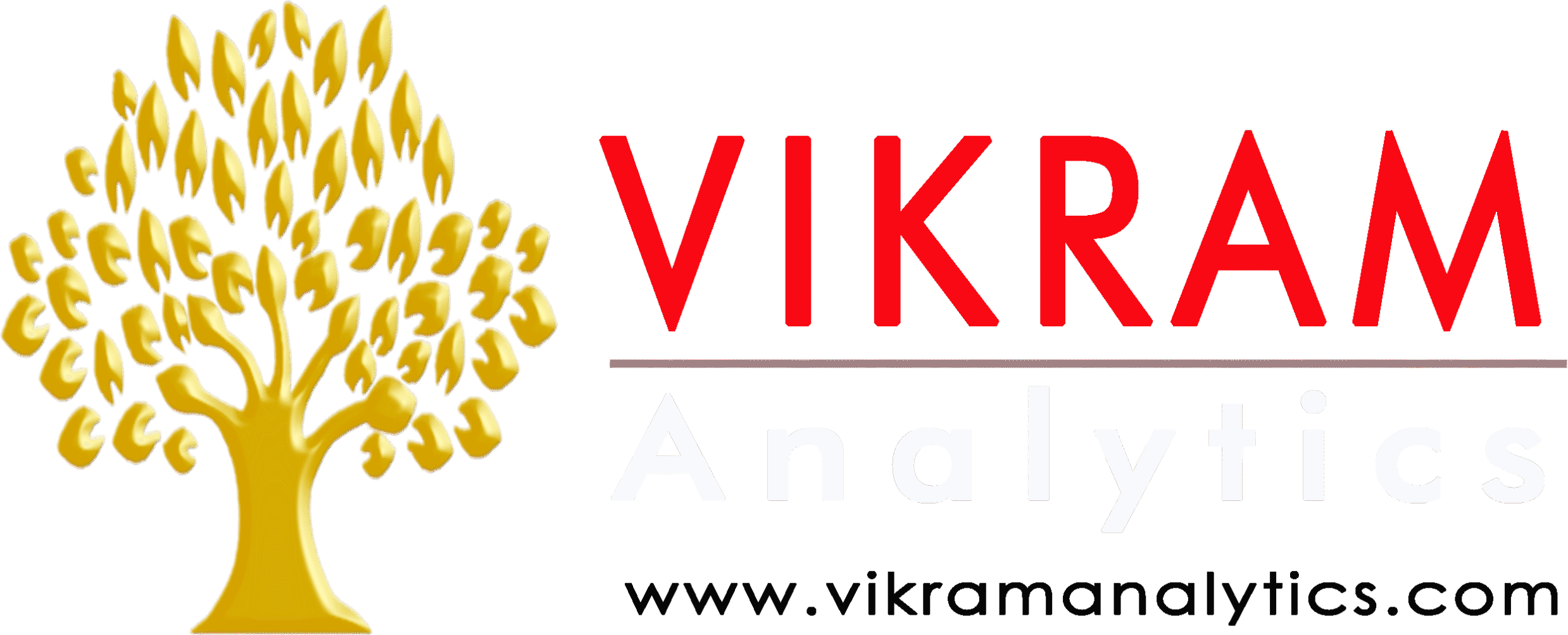Vikram Analytics