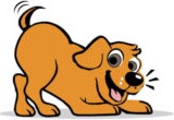 Wag Awhile Doggie Daycare