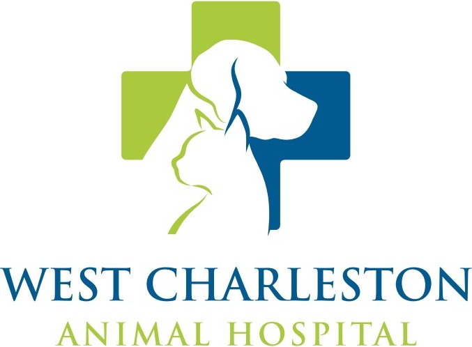 West Charleston Animal Hospital