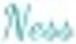 YogaNess logo