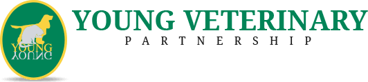 Young Veterinary Partnership