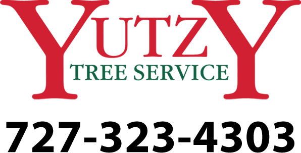 Yutzy Tree Service