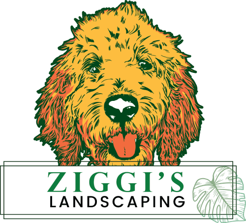 Ziggi's Landscaping LLC